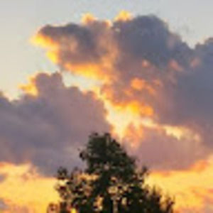 Meet your Posher, Jess